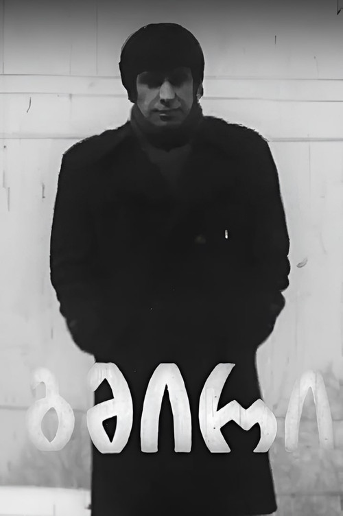 Movie poster for Hero (1979)