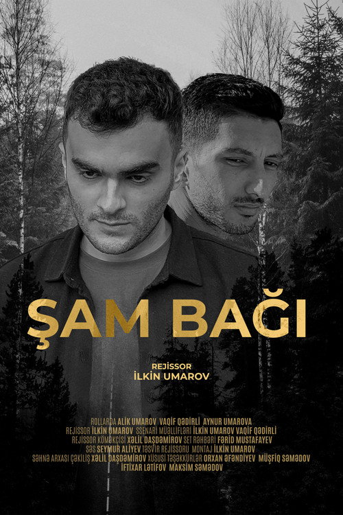Movie poster for Şam Bağı (2024)