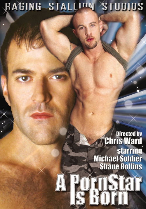 Movie poster for A Porn Star Is Born (2003)