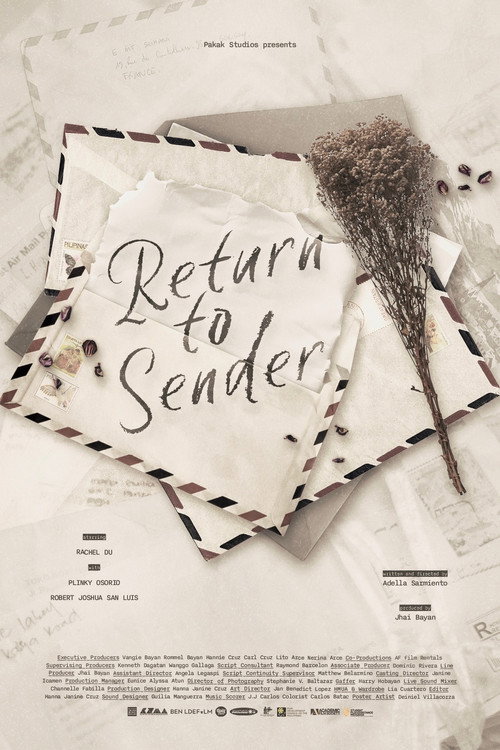 Movie poster for Return to Sender (2025)