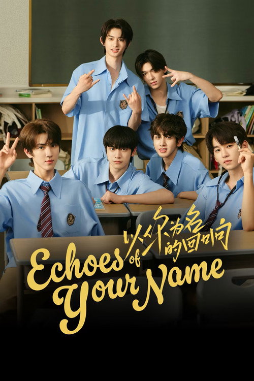 Series poster for Echoes of Your Name (2025)