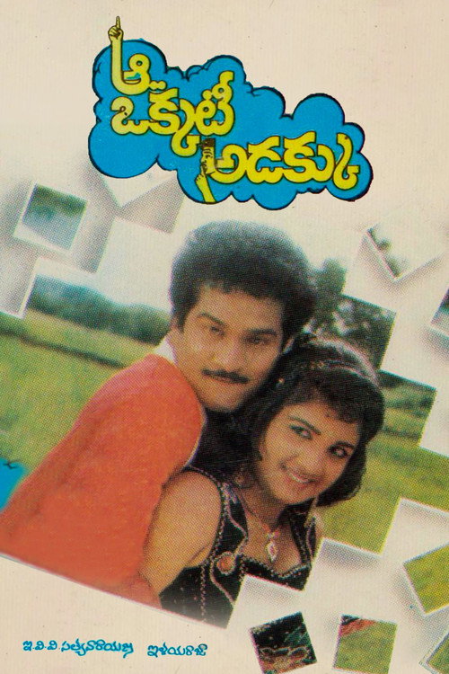 Movie poster for Aa Okkati Adakku (1992)