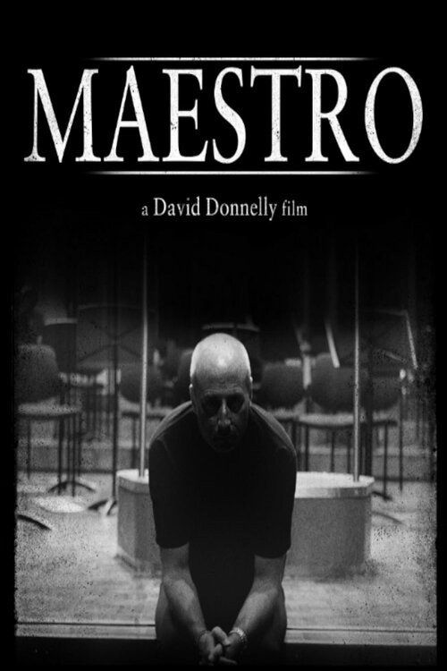 Movie poster for Maestro (2015)