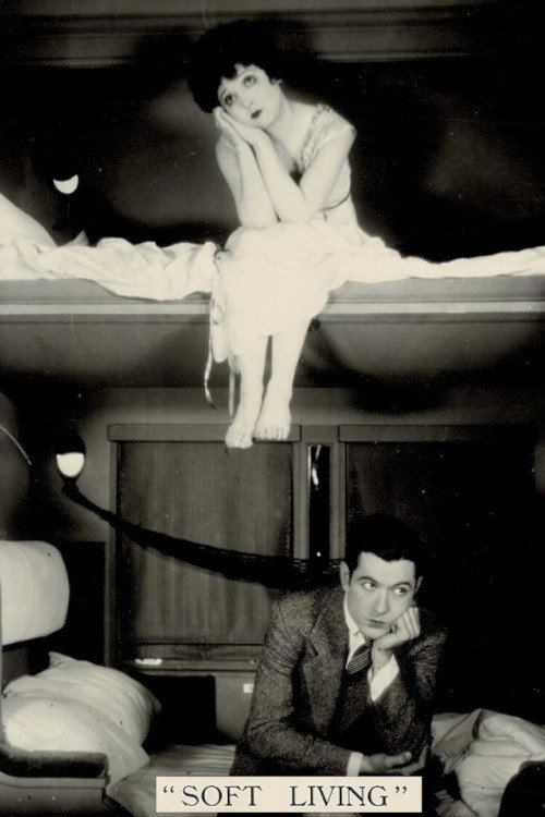 Movie poster for Soft Living (1928)