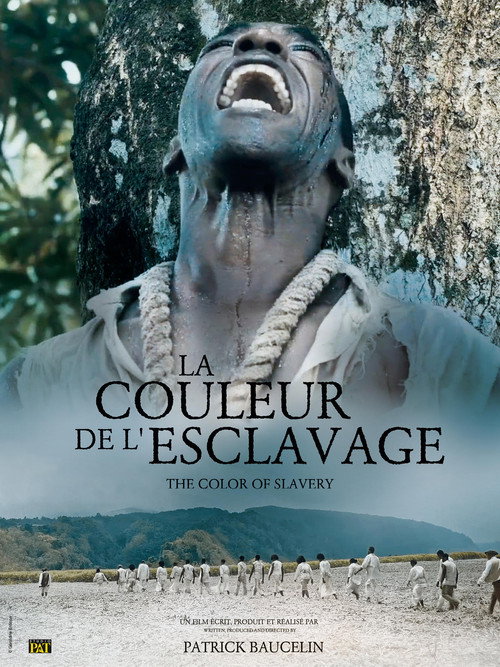Movie poster for La Couleur de l'esclavage (2024)