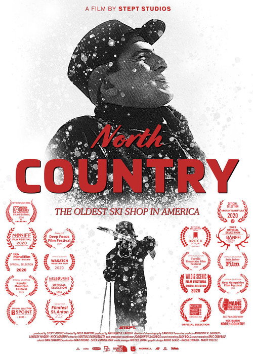 Movie poster for North Country (2021)