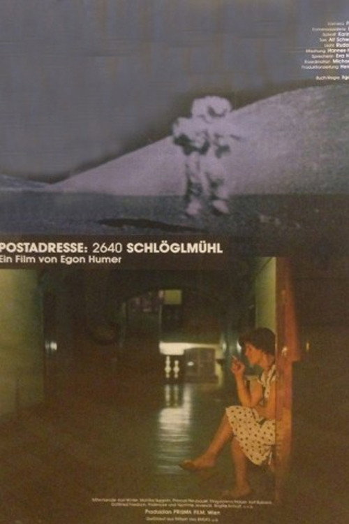 Movie poster for Postadresse: 2640 Schlöglmühl (1990)