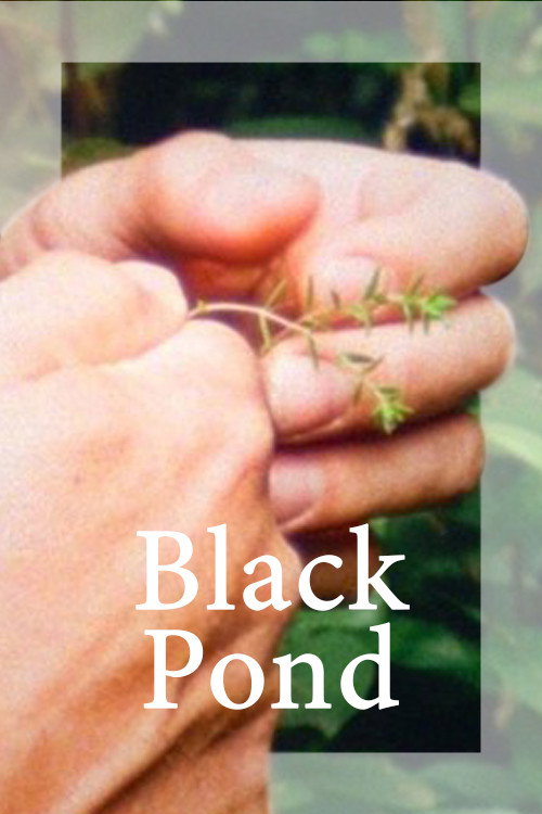Movie poster for Black Pond (2018)