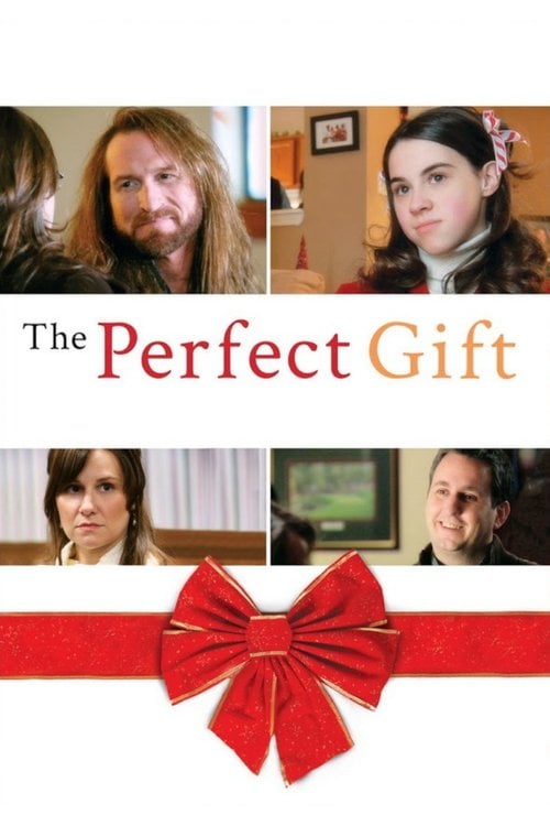 Movie poster for The Perfect Gift (2009)