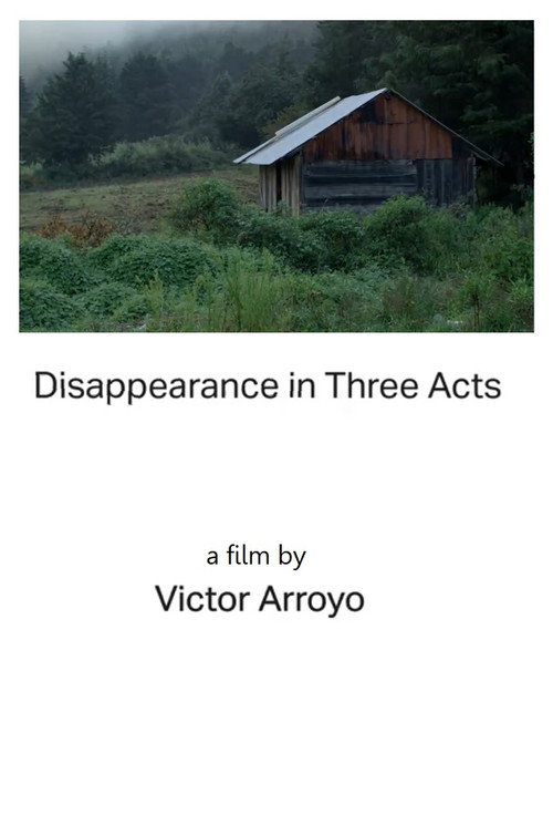 Movie poster for Disappearance in Three Acts | Act One (2024)