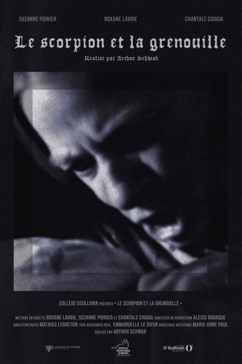 Movie poster for Le scorpion et la grenouille (2025)