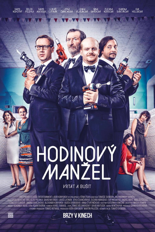 Movie poster for Husband to Rent (2014)