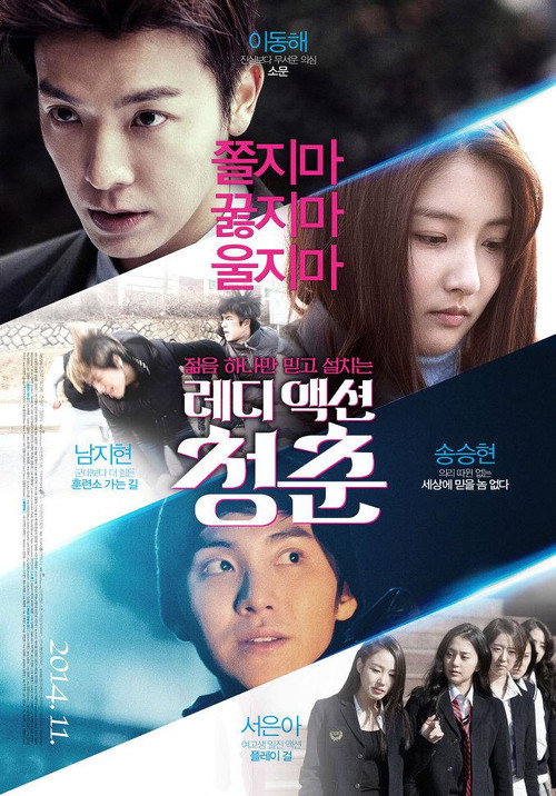Movie poster for The Youth (2014)