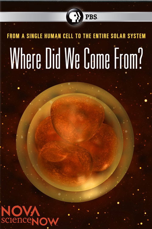 Movie poster for Where Did We Come From? (2011)