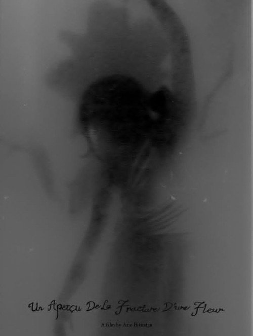 Movie poster for Un Aperçu De La Fracture D’une Fleur (2025)