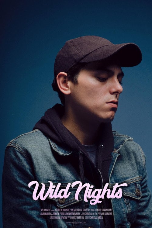 Movie poster for Wild Nights (2019)