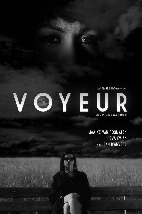 Movie poster for Voyeur (2017)