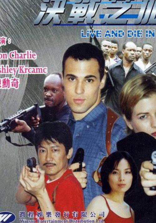 Movie poster for Live and Die in Chicago (2002)
