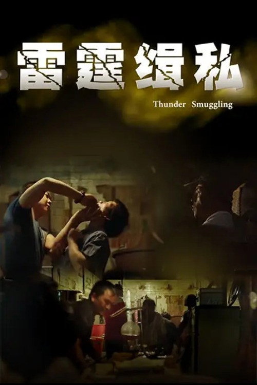 Movie poster for 雷霆缉私