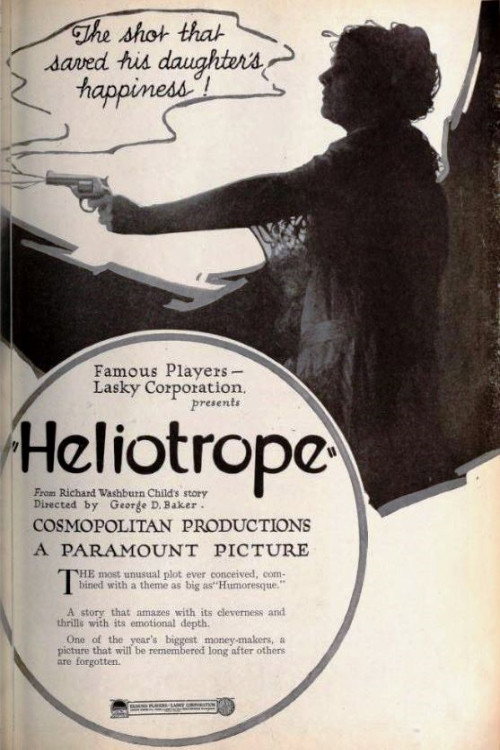 Movie poster for Heliotrope (1920)
