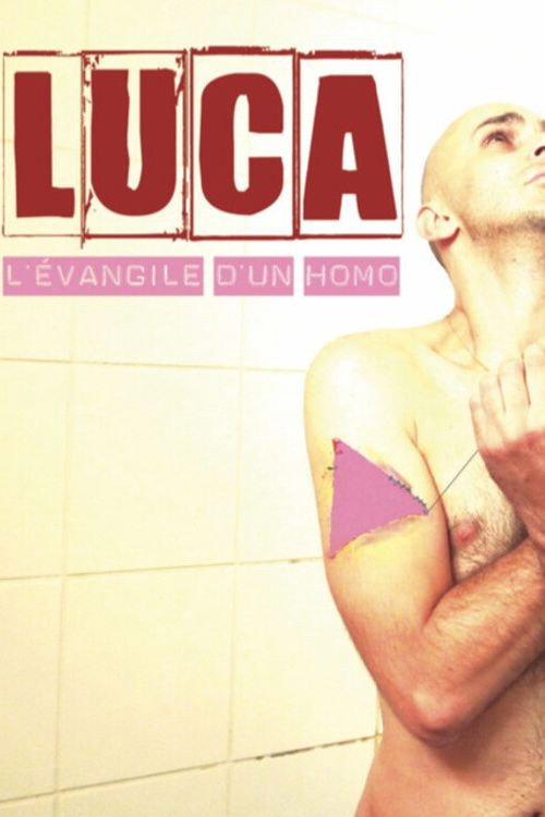 Movie poster for Luca, l'évangile d'un homo (2013)