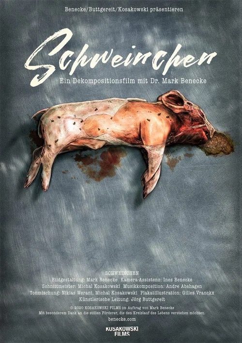 Movie poster for Piggy (2020)