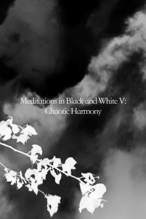 Movie poster for Meditations in Black and White V: Chaotic Harmony
