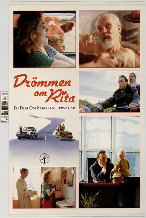 Movie poster for Dreaming of Rita (1993)