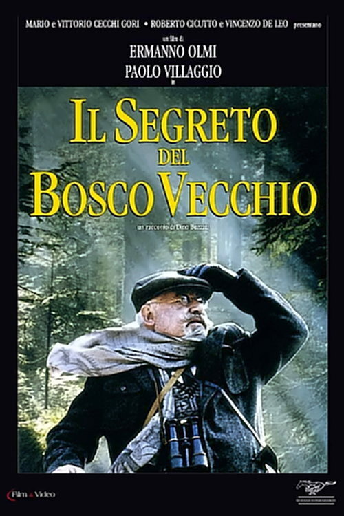 Movie poster for The Secret of the Old Woods (1993)