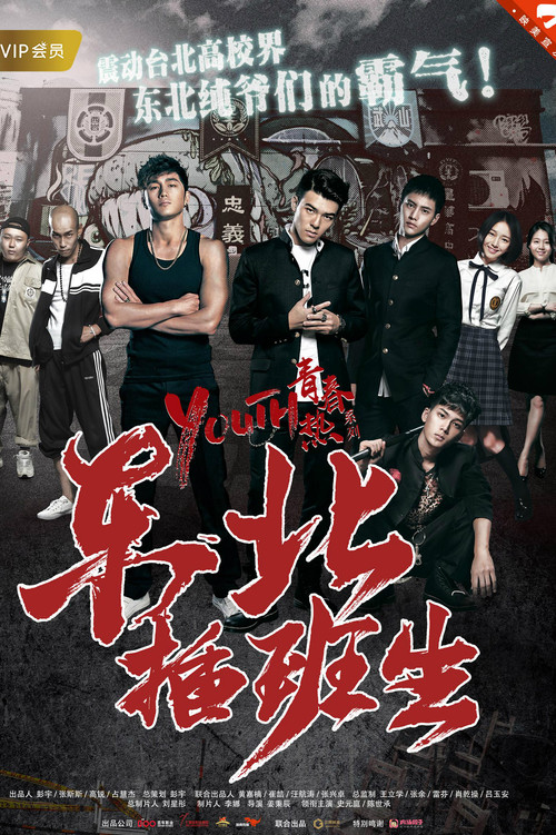 Movie poster for Transfered Student (2017)