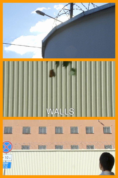 Movie poster for Walls (2020)