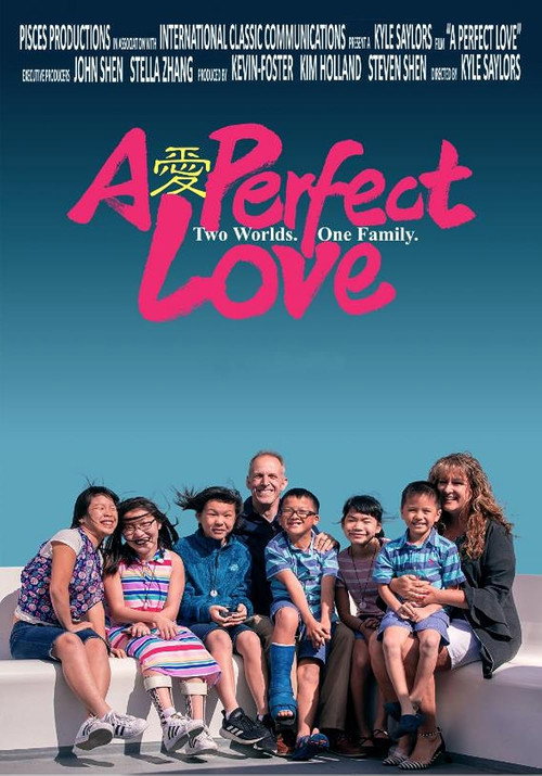 Movie poster for A Perfect Love (2023)