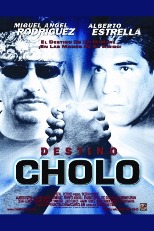 Movie poster for Destino Cholo (2002)