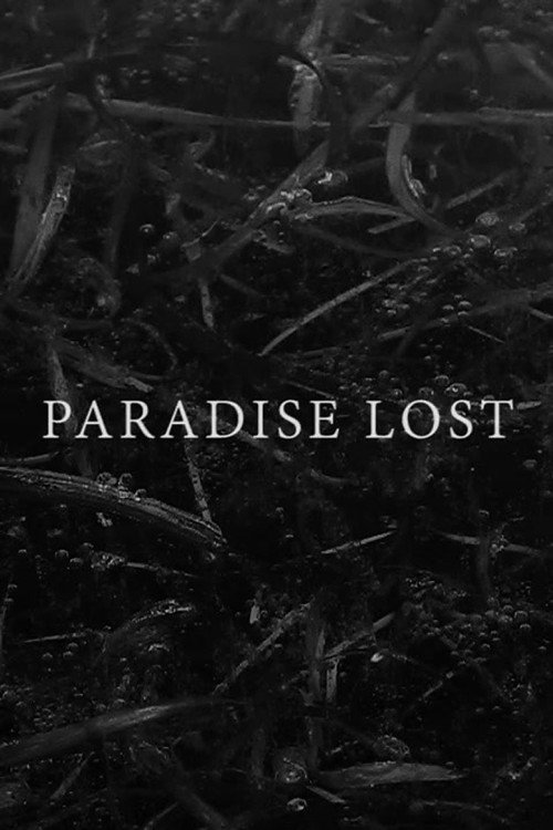 Movie poster for Paradise Lost (2017)