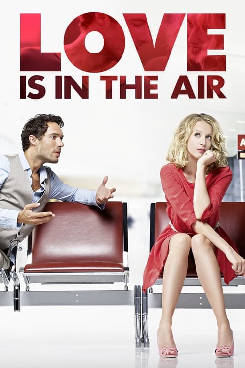 Movie poster for Love Is in the Air (2013)