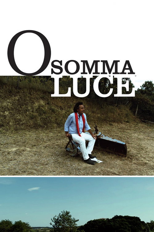 Movie poster for O somma luce (2011)