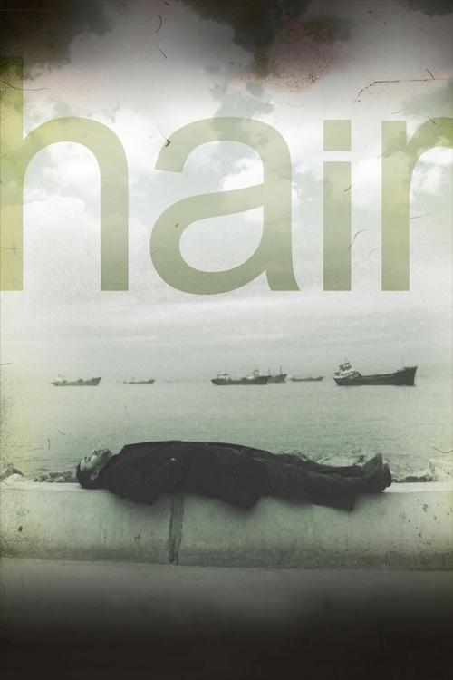 Movie poster for Hair (2010)