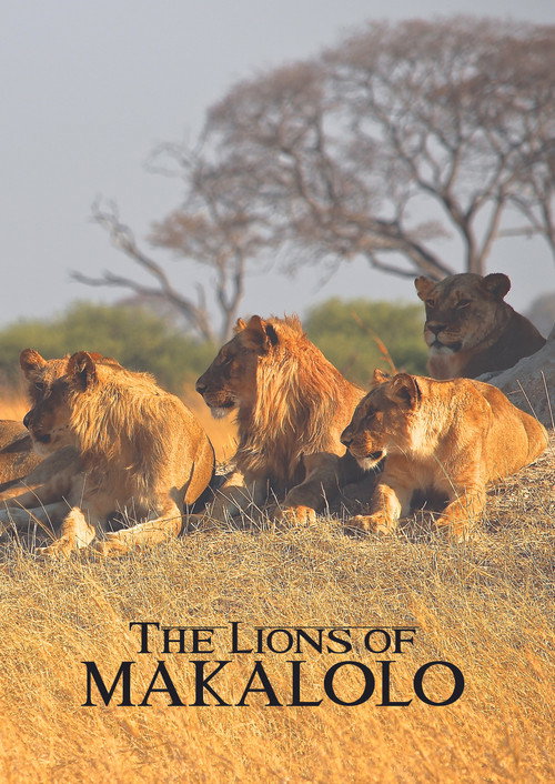 Movie poster for The Lions of Makalolo (2020)