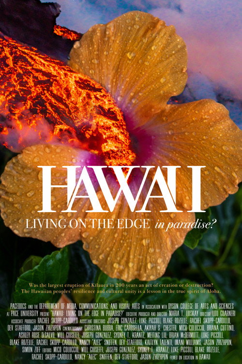 Movie poster for Hawaii: Living on the Edge in Paradise? (2019)