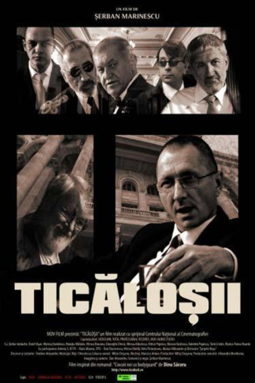 Movie poster for Ticăloșii (2007)