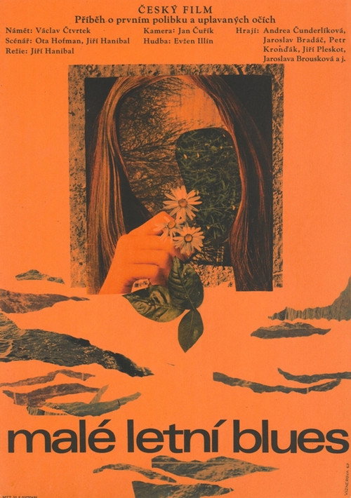 Movie poster for Malé letní blues (1968)