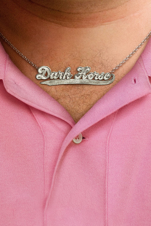 Movie poster for Dark Horse (2012)