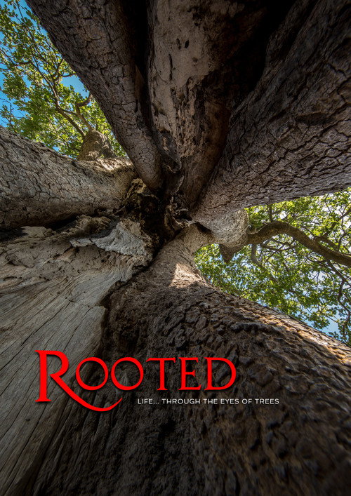 Series poster for Rooted (2018)