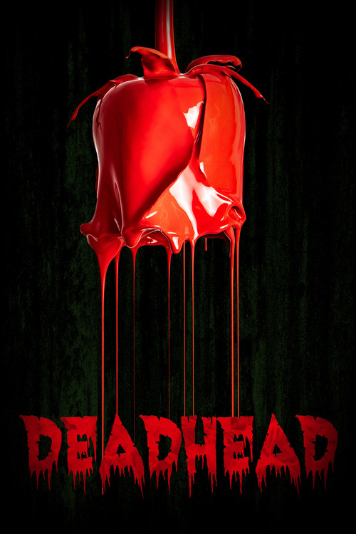 Movie poster for Deadhead