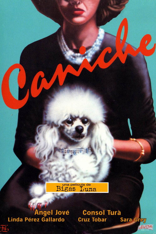 Movie poster for Poodle (1979)