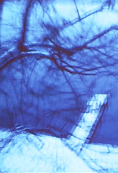 Movie poster for Seelig (1975)