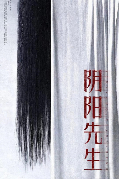 Movie poster for Mr Yin-Yang (2023)