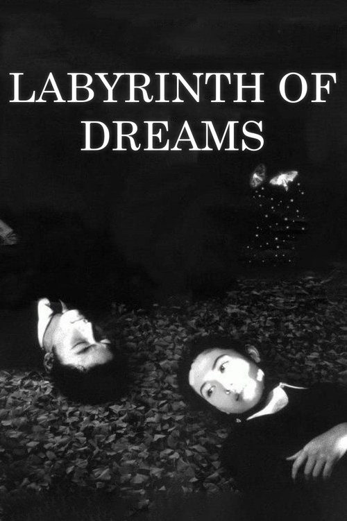 Movie poster for Labyrinth of Dreams (1997)