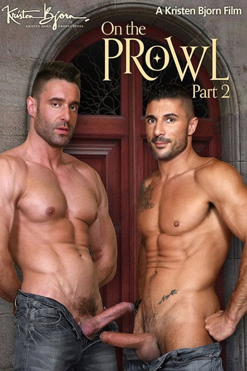 Movie poster for On The Prowl: Part 2 (2015)