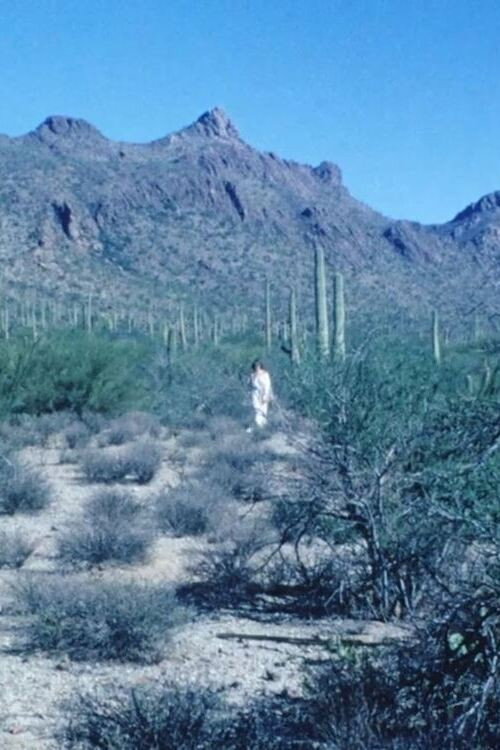 Movie poster for Mirror Movement (1973)